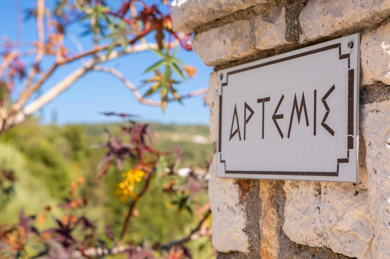 Villa Artemis نِكيانا المظهر الخارجي الصورة